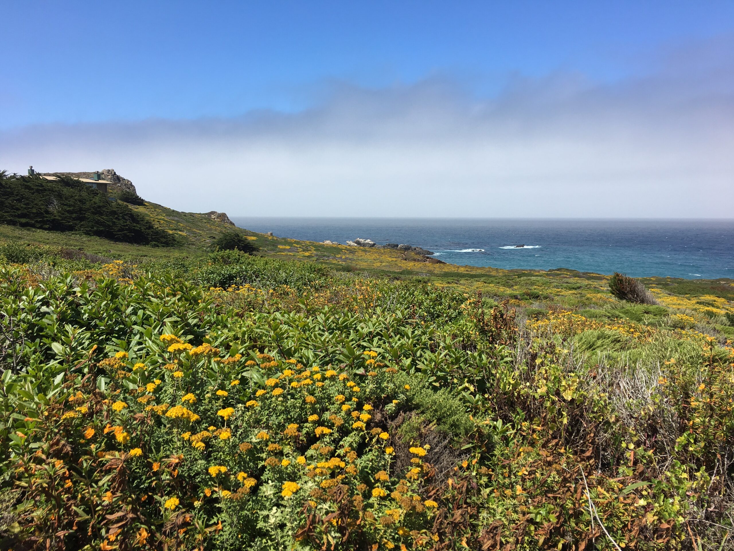 California Sea Otter Game Refuge