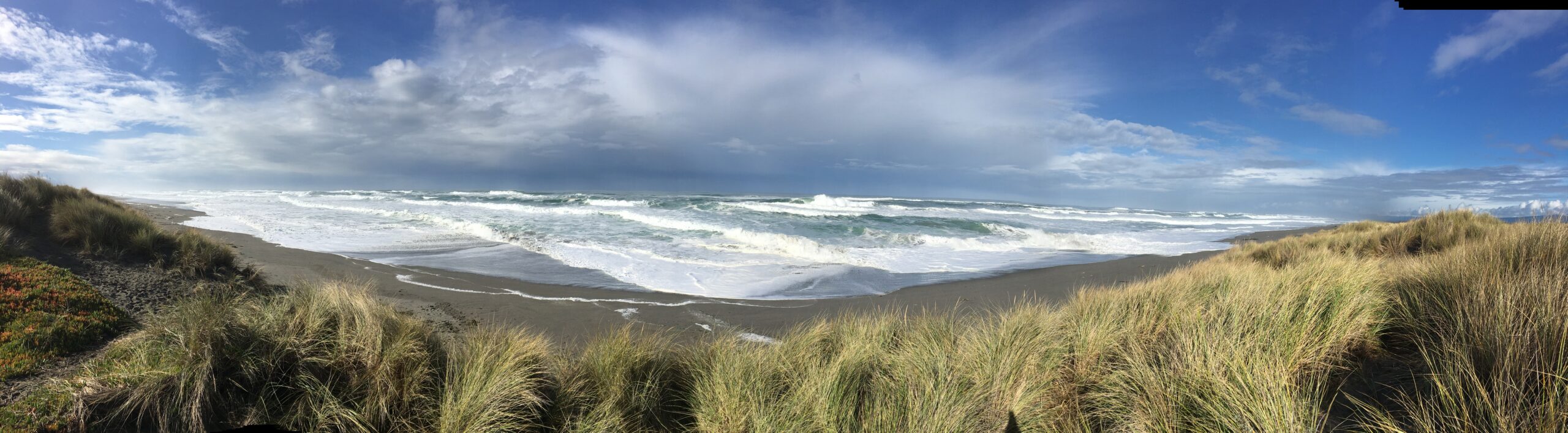 Samoa Beach, Oregon, US